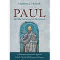 Paul and the Meaning of Scripture: A Philosophical-Hermeneutic Approach to Paul's Use of the Old Testament in Romans - Hardcover