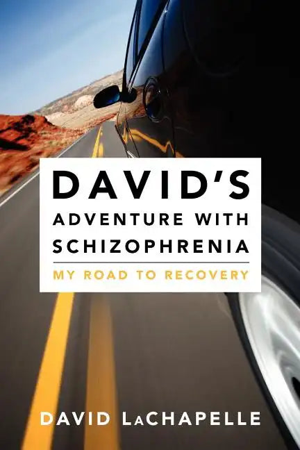 David's Adventure with Schizophrenia: My Road to Recovery - Paperback