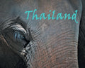 Thailand - Hardcover
