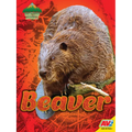 Beaver - Library Binding