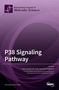 P38 Signaling Pathway - Hardcover
