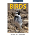 Pocket Guide to Birds of Namibia - Paperback