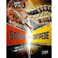 Scorpion vs. Centipede: Duel to the Death - Hardcover