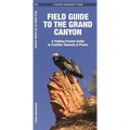 Field Guide to the Grand Canyon: A Folding Pocket Guide to Familiar Plants & Animals - Paperback