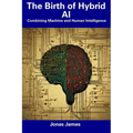 The Birth of Hybrid AI: Combining Machine and Human Intelligence - Paperback