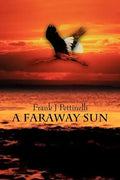 A Faraway Sun - Paperback