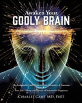 Awaken Your Godly Brain: The Undeniable Link Between Brain Chemistry and Function, Sustainable Happiness and Spirituality - Paperback