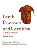 Fossils, Dinosaurs and Cave Men - Paperback