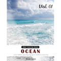 Ocean: Nature View and Travel Gray Scale Photo Adult Coloring Book, Mind Relaxation Stress Relief Coloring Book Vol1: Series - Paperback