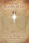 The Meaning of Life: Purpose and Mission of the Human Soul - Paperback