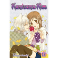 Kamisama Kiss, Vol. 12 - Paperback