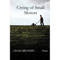 Crying of Small Motors - Paperback