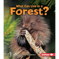 What Can Live in a Forest? - Paperback
