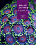 Systemic consulting: The organisation as a living system - Paperback