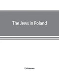 The Jews in Poland: official reports of the American and British Investigating Missions - Paperback