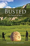 Busted (Tax Dollars at Work) - Paperback