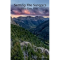 Into The Fire - Paperback