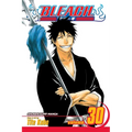 Bleach, Vol. 30 - Paperback