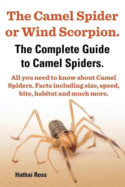 The Camel Spider or Wind Scorpion. the Complete Guide to Camel Spiders. All You Need to Know about Camel Spiders. Facts Including Size, Speed, Bite an - Paperback