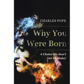 Why You Were Born: A Choice We Don't Get To Make! - Paperback