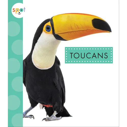 Toucans - Paperback