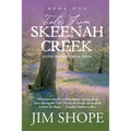 Tales From Skeenah Creek: A Civil War Historical Fiction Novel - Paperback