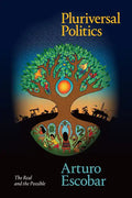 Pluriversal Politics: The Real and the Possible - Paperback