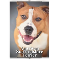 American Staffordshire Terrier: Dog breed overview and guide - Paperback