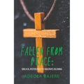 Fallen from Grace: Biblical References to Nigeria's Dilemma - Paperback