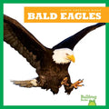 Bald Eagles - Paperback