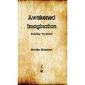 Awakened Imagination - Hardcover