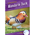 Mandarin Duck - Library Binding