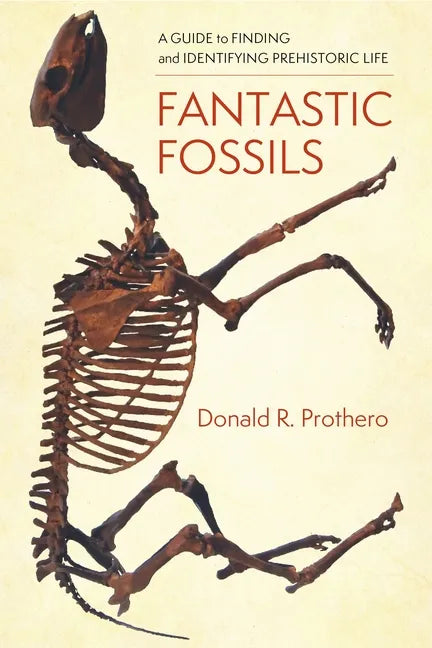 Fantastic Fossils: A Guide to Finding and Identifying Prehistoric Life - Paperback