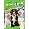 Working Group - Library Binding
