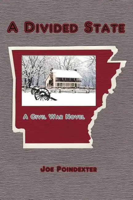 A Divided State: A Civil War Novel - Paperback