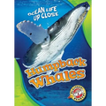Humpback Whales - Library Binding