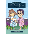 Why Did the Exodus Happen? - Paperback