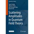 Scattering Amplitudes in Quantum Field Theory - Paperback
