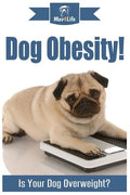 Dog Obesity!: Is Your Dog Overweight? - Paperback