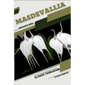 Masdevallia: Closed terrarium, Beginner's Guide - Paperback