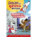 Trouble on the Double - Paperback