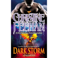 Dark Storm - Paperback