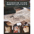Freedom Gone: Embroidered Quilts of Slave Life in the Civil War - Paperback