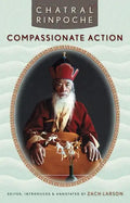 Compassionate Action - Paperback