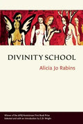 Divinity School - Paperback