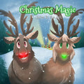 Christmas Magic - Paperback