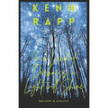 In a Land of Darkness, a Light Will Shine: Balladry & Afflatus - Paperback