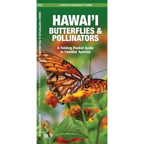Hawai'i Butterflies & Pollinators, 2nd Ed: A Folding Pocket Guide to Familiar Species - Paperback