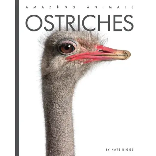 Ostriches - Library Binding