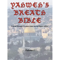 Yahweh's Breath Bible, Volume 1: Literal Strong's Version with Sacred Name added - Paperback